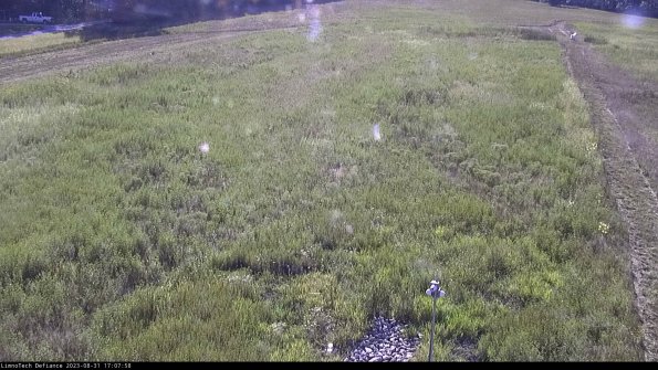 Cell 1_23-08-31_17-07-58-87