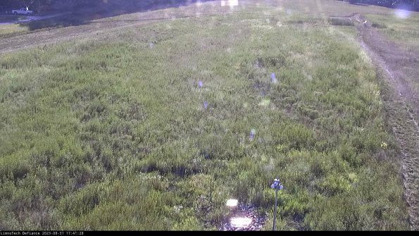 Cell 1_23-08-31_17-41-28-89