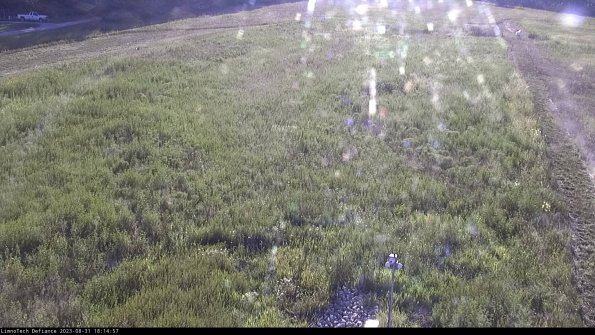 Cell 1_23-08-31_18-14-57-87