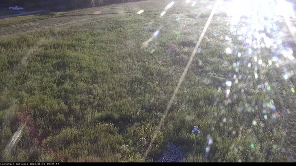 Cell 1_23-08-31_19-21-57-88