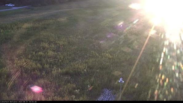 Cell 1_23-08-31_19-55-26-90