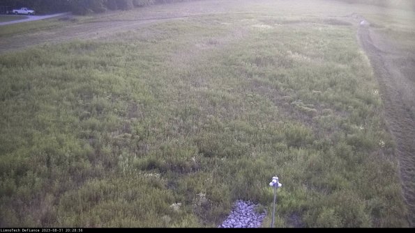 Cell 1_23-08-31_20-28-56-89