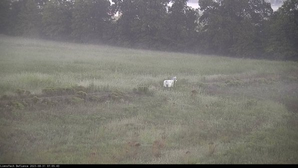 Cell 2 to 3_23-08-31_07-05-44-02