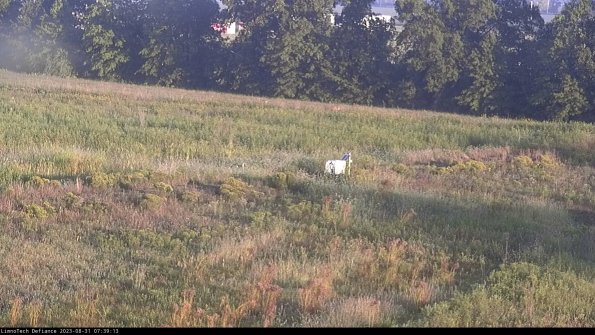 Cell 2 to 3_23-08-31_07-39-14-00