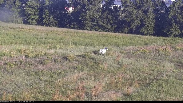 Cell 2 to 3_23-08-31_08-12-43-95