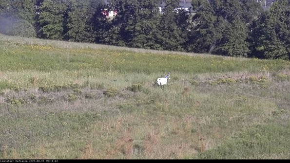 Cell 2 to 3_23-08-31_09-19-43-03