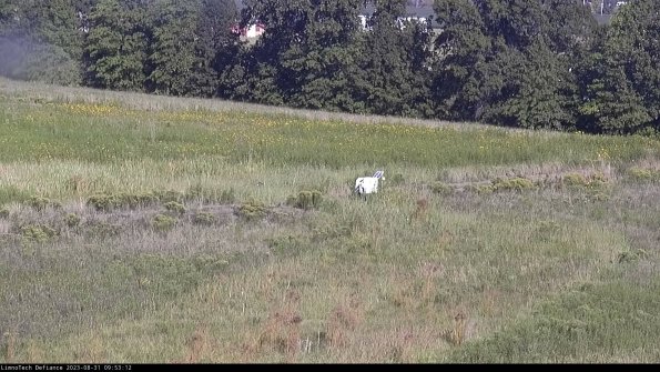 Cell 2 to 3_23-08-31_09-53-13-11