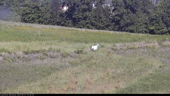 Cell 2 to 3_23-08-31_10-26-44-07