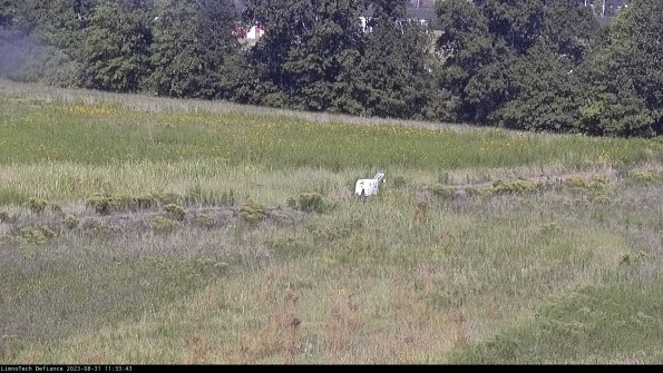 Cell 2 to 3_23-08-31_11-33-44-11