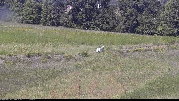 Cell 2 to 3_23-08-31_12-40-42-91