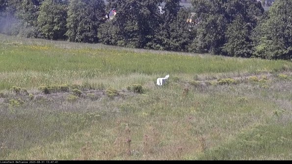 Cell 2 to 3_23-08-31_13-47-41-95