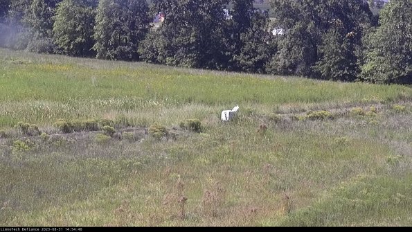 Cell 2 to 3_23-08-31_14-54-40-93