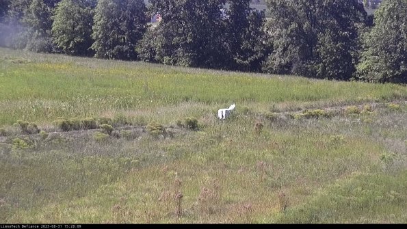 Cell 2 to 3_23-08-31_15-28-10-02