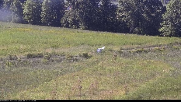 Cell 2 to 3_23-08-31_16-35-10-09