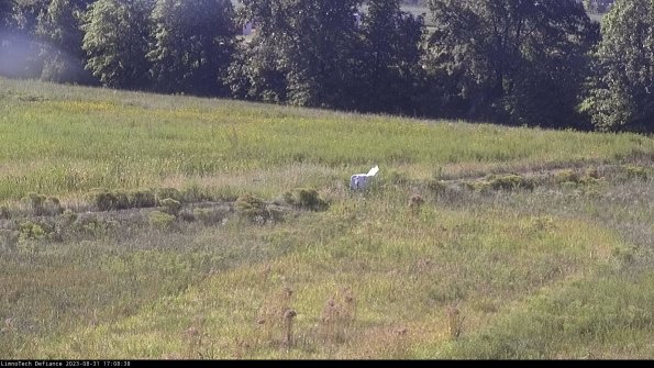 Cell 2 to 3_23-08-31_17-08-39-07