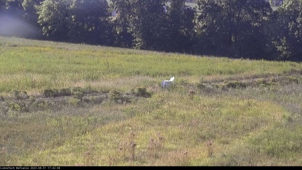 Cell 2 to 3_23-08-31_17-42-08-89