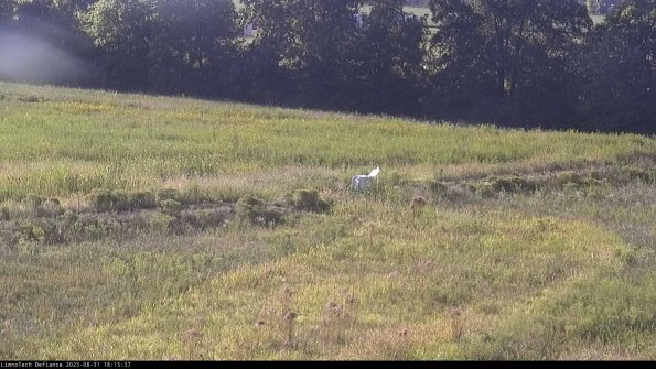 Cell 2 to 3_23-08-31_18-15-37-98