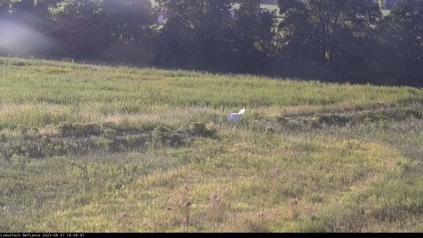 Cell 2 to 3_23-08-31_18-49-08-10