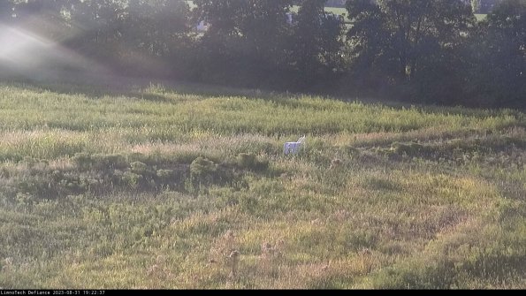 Cell 2 to 3_23-08-31_19-22-37-96