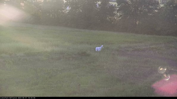 Cell 2 to 3_23-08-31_19-56-06-98