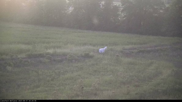 Cell 2 to 3_23-08-31_20-29-37-06