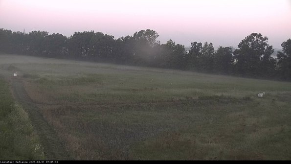 Cell 2_23-08-31_07-05-30-90