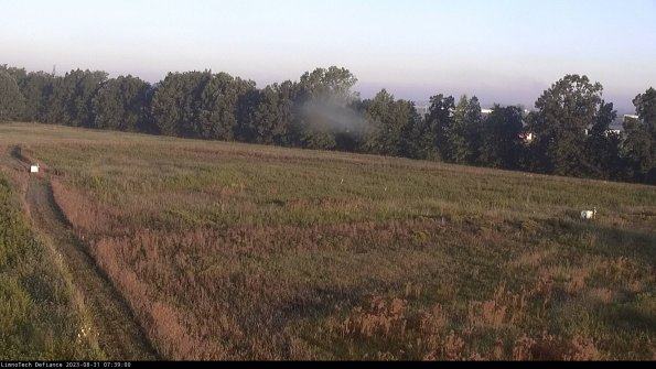 Cell 2_23-08-31_07-39-00-89