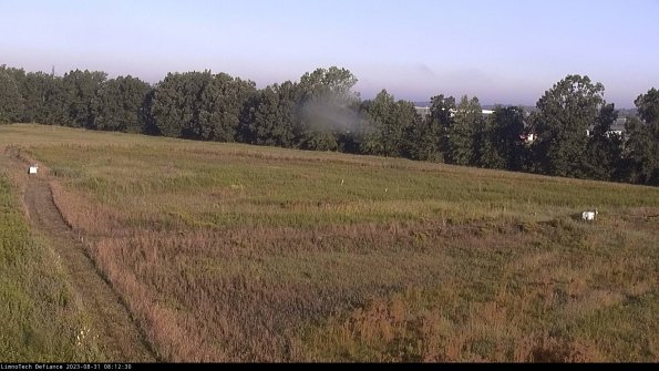 Cell 2_23-08-31_08-12-30-87