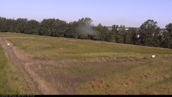 Cell 2_23-08-31_09-19-29-88