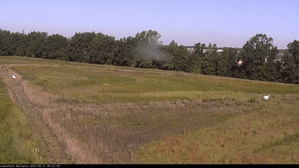 Cell 2_23-08-31_09-52-59-97