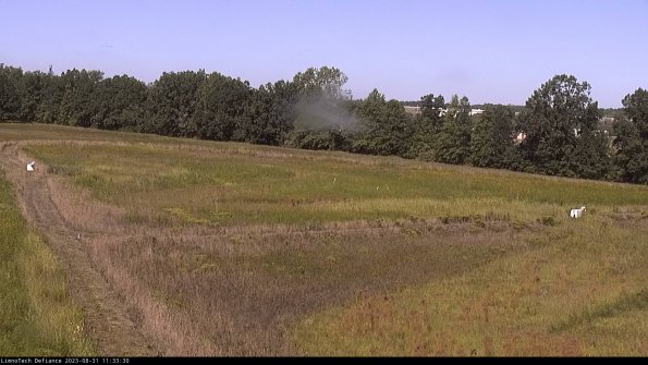 Cell 2_23-08-31_11-33-30-96