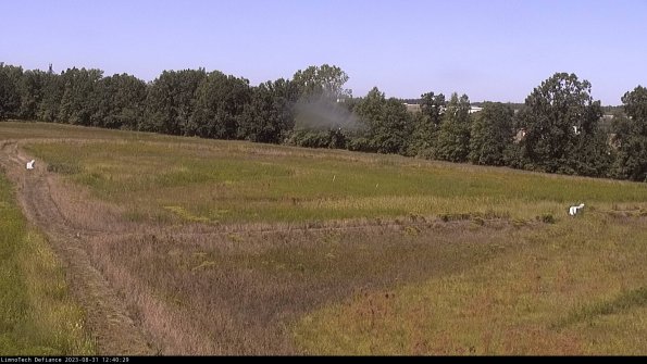 Cell 2_23-08-31_12-40-29-90