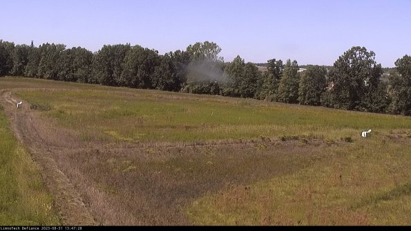 Cell 2_23-08-31_13-47-28-91