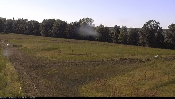 Cell 2_23-08-31_17-08-25-96