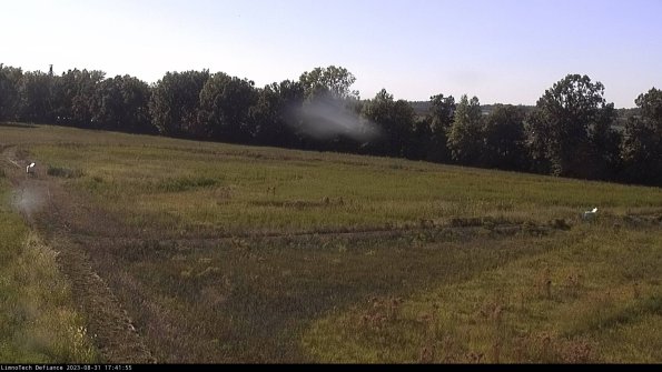 Cell 2_23-08-31_17-41-55-88