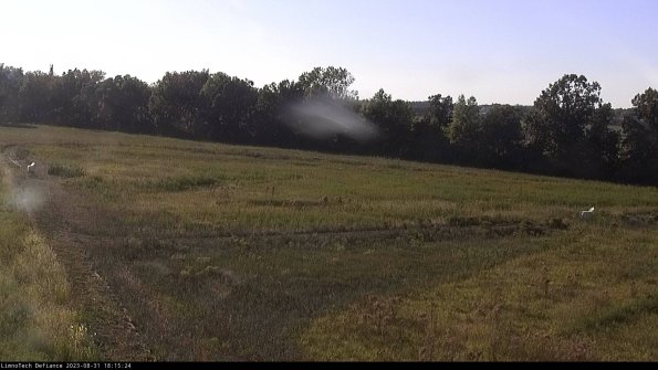 Cell 2_23-08-31_18-15-24-90