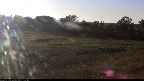 Cell 2_23-08-31_19-22-24-91