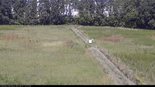 Cell 3 to 4_23-08-31_13-14-40-87