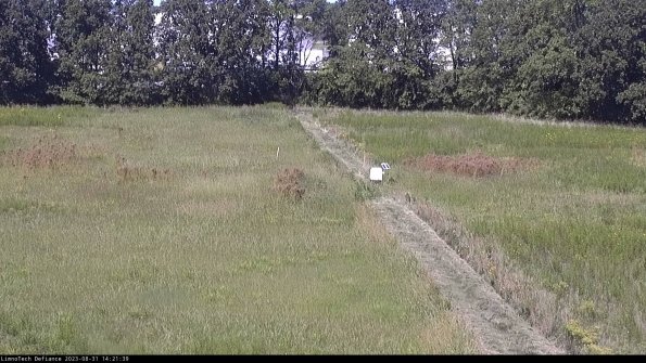 Cell 3 to 4_23-08-31_14-21-39-87