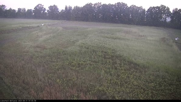 Cell 3_23-08-31_07-05-58-87