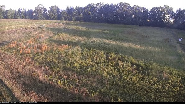 Cell 3_23-08-31_07-39-28-88