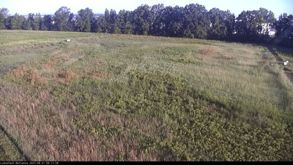 Cell 3_23-08-31_08-12-58-87