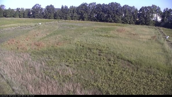 Cell 3_23-08-31_09-19-57-87