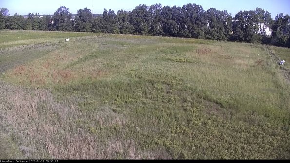 Cell 3_23-08-31_09-53-27-89