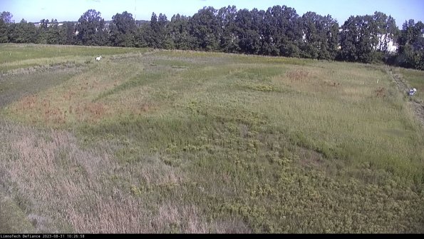 Cell 3_23-08-31_10-26-58-88