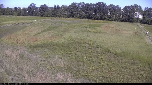 Cell 3_23-08-31_11-33-58-85