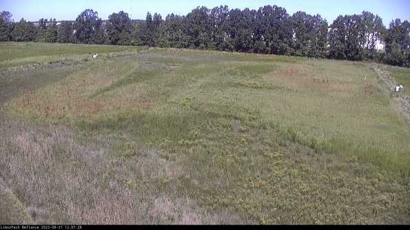 Cell 3_23-08-31_12-07-28-87