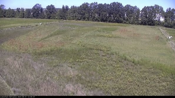 Cell 3_23-08-31_12-40-57-86