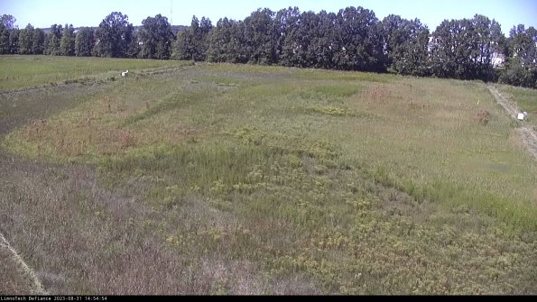 Cell 3_23-08-31_14-54-55-14