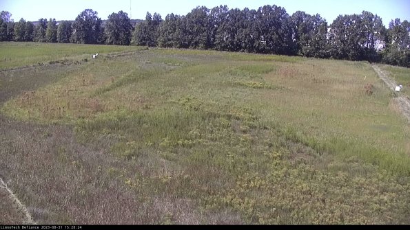 Cell 3_23-08-31_15-28-24-87